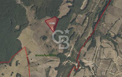 ÇATALCA BİNKILIÇ YATIRIM DEĞERİ YÜKSEK TARLA