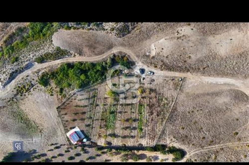 Kızlan'da 3314 m2 bakımlı tarla ve 24 m2 depo alanı