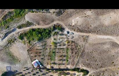 Kızlan'da 3314 m2 bakımlı tarla ve 24 m2 depo alanı