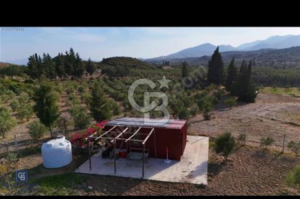 Kızlan'da 3314 m2 bakımlı tarla ve 24 m2 depo alanı