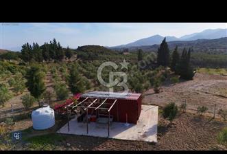 Kızlan'da 3314 m2 bakımlı tarla ve 24 m2 depo alanı - 2 - 319297