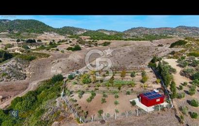 Kızlan'da 3314 m2 bakımlı tarla ve 24 m2 depo alanı