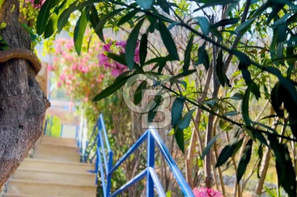 CB MARİNA'DAN 20 ODALI DENİZ MANZARALI YÜKSEK CİROLU