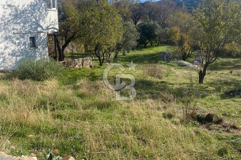 CB GİZ'DEN KAŞ SARIBELEN'DE SATILIK TARLA