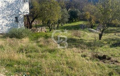 CB GİZ'DEN KAŞ SARIBELEN'DE SATILIK TARLA