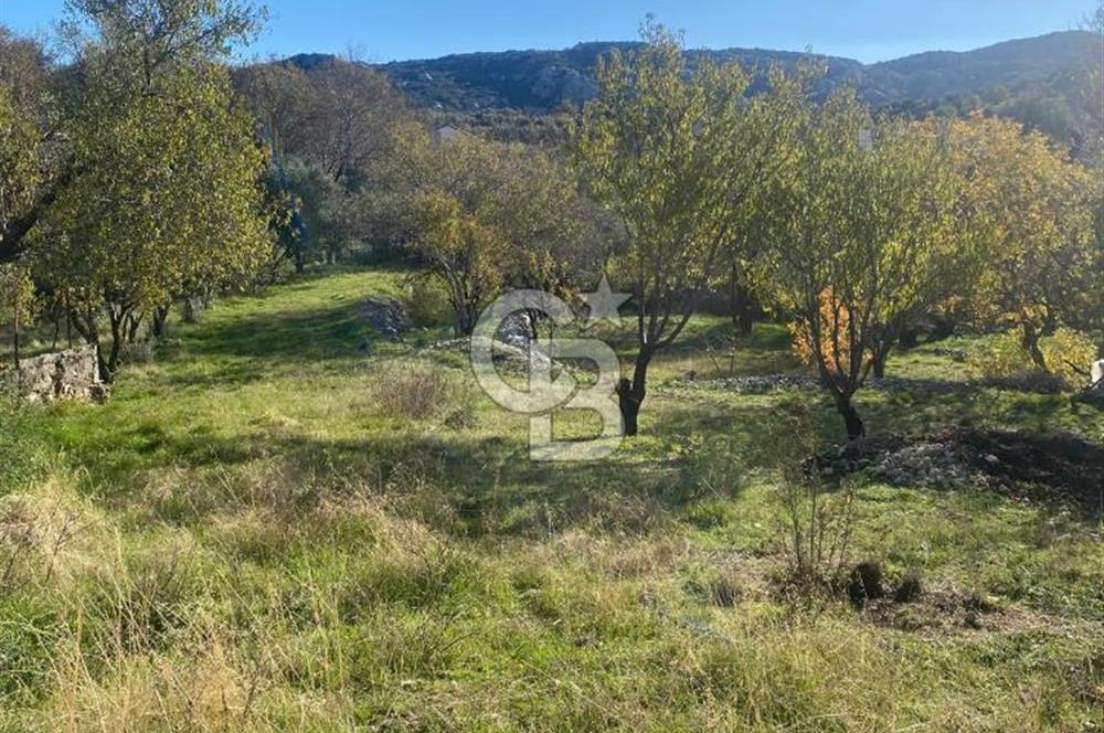 CB GİZ'DEN KAŞ SARIBELEN'DE SATILIK TARLA