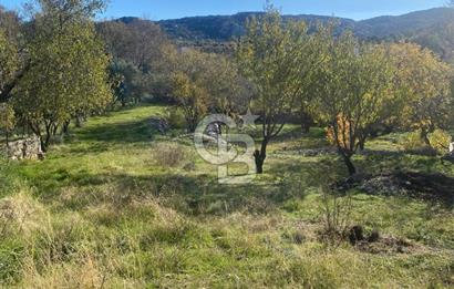 CB GİZ'DEN KAŞ SARIBELEN'DE SATILIK TARLA