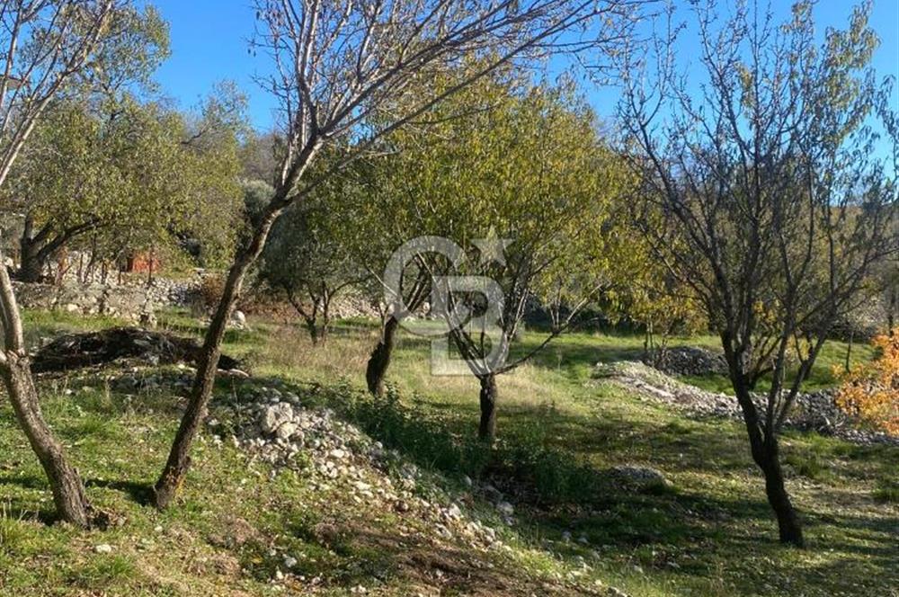 CB GİZ'DEN KAŞ SARIBELEN'DE SATILIK TARLA