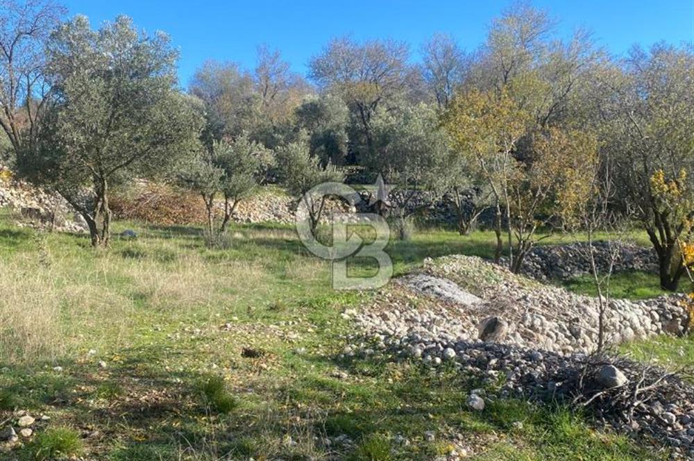 CB GİZ'DEN KAŞ SARIBELEN'DE SATILIK TARLA