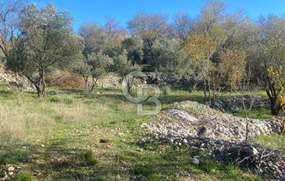 CB GİZ'DEN KAŞ SARIBELEN'DE SATILIK TARLA