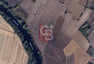 KARACABEY HARMANLI'DA 3650 M2 SATILIK TARLA - 1 - 319284