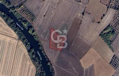 KARACABEY HARMANLI'DA 3650 M2 SATILIK TARLA