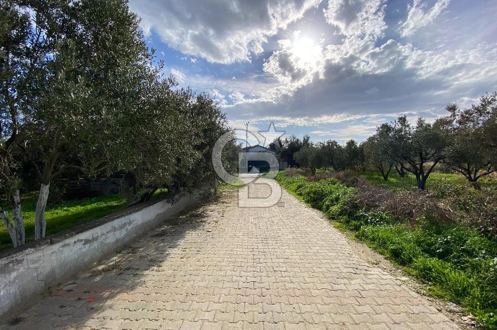 Tekirdağ Şarköy'de Denize 50 Metre 2+1 Bahçeli Full Eşyalı Daire