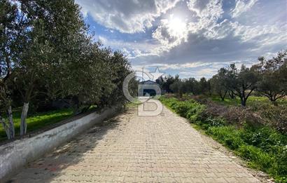 Tekirdağ Şarköy'de Denize 50 Metre 2+1 Bahçeli Full Eşyalı Daire