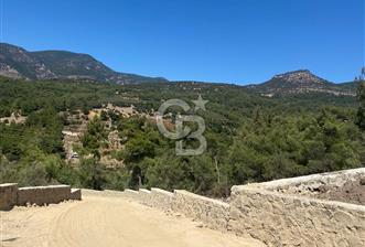 Menemen Görece’de hazır altyapılı 8.446 m 2 yatırımlık arsa - 1 - 319348