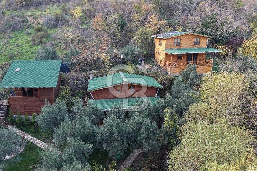 Tekirdağ Uçmakderede 3 Adet Dubleks Bağ Evi-Doğa İçinde Fırsat!