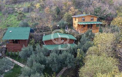 Tekirdağ Uçmakderede 3 Adet Dubleks Bağ Evi-Doğa İçinde Fırsat!