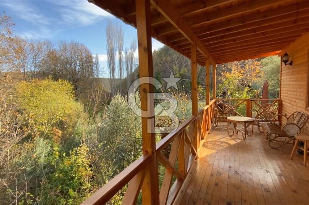 Tekirdağ Uçmakderede 3 Adet Dubleks Bağ Evi-Doğa İçinde Fırsat!