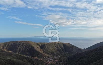 Tekirdağ Uçmakderede 3 Adet Dubleks Bağ Evi-Doğa İçinde Fırsat!