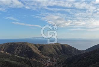 Tekirdağ Uçmakderede 3 Adet Dubleks Bağ Evi-Doğa İçinde Fırsat! - 1 - 319367