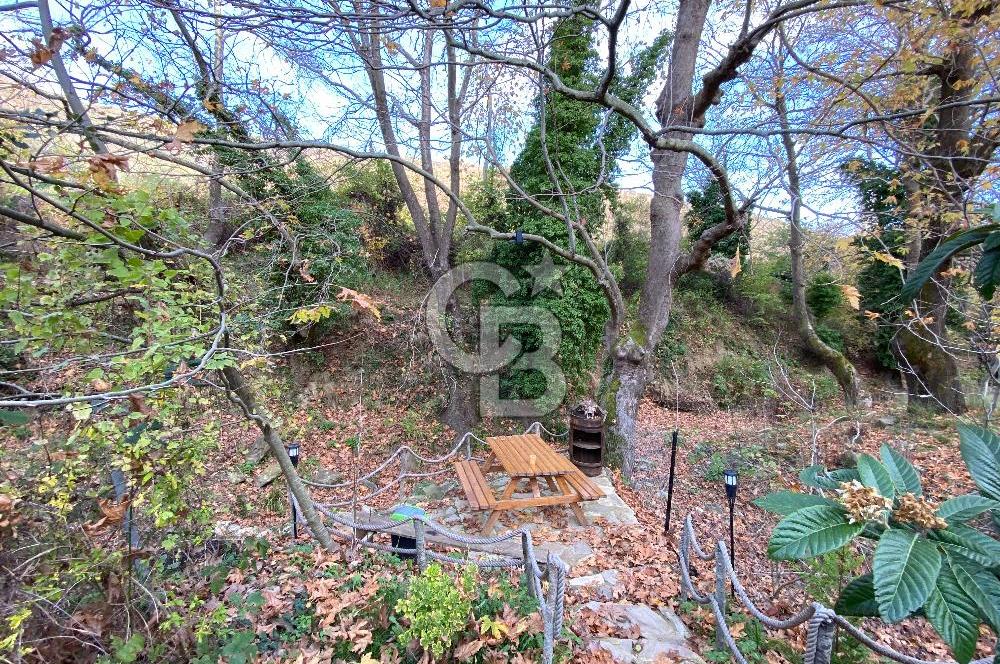 Tekirdağ Uçmakderede 3 Adet Dubleks Bağ Evi-Doğa İçinde Fırsat!