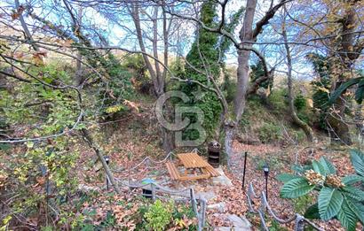 Tekirdağ Uçmakderede 3 Adet Dubleks Bağ Evi-Doğa İçinde Fırsat!