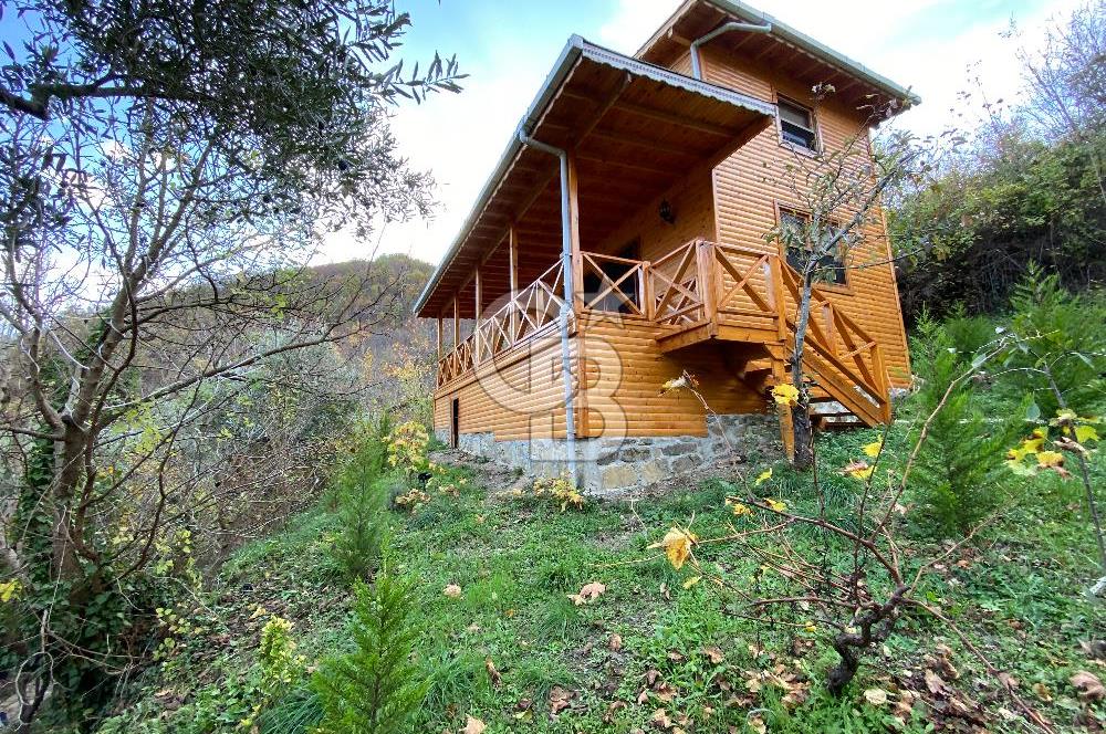 Tekirdağ Uçmakderede 3 Adet Dubleks Bağ Evi-Doğa İçinde Fırsat!