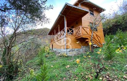 Tekirdağ Uçmakderede 3 Adet Dubleks Bağ Evi-Doğa İçinde Fırsat!