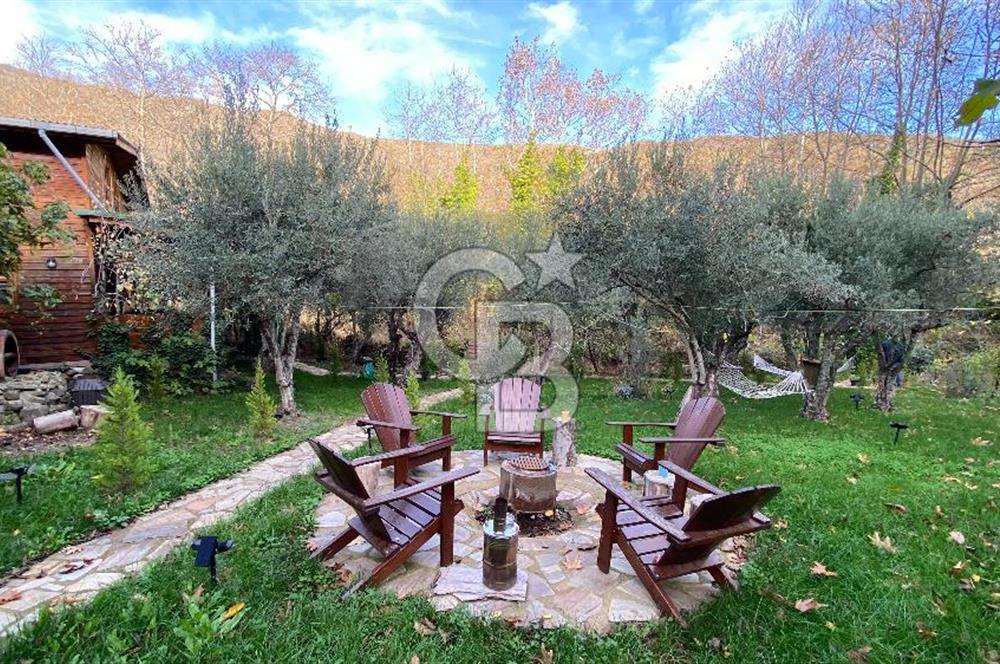 Tekirdağ Uçmakderede 3 Adet Dubleks Bağ Evi-Doğa İçinde Fırsat!