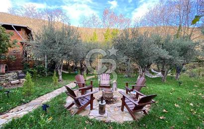 Tekirdağ Uçmakderede 3 Adet Dubleks Bağ Evi-Doğa İçinde Fırsat!