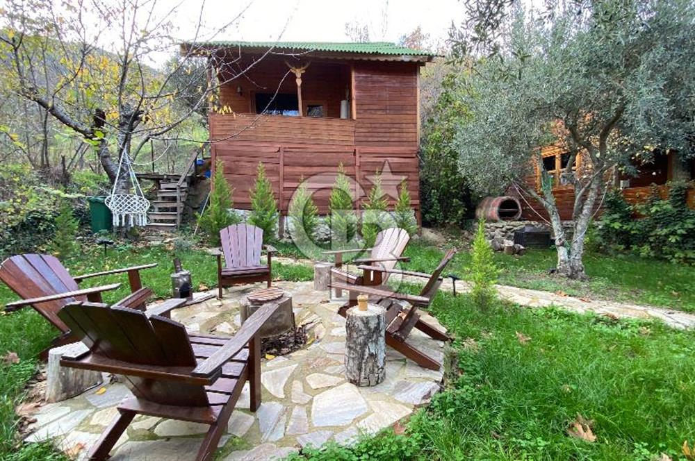 Tekirdağ Uçmakderede 3 Adet Dubleks Bağ Evi-Doğa İçinde Fırsat!