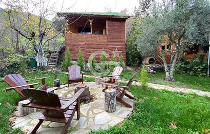 Tekirdağ Uçmakderede 3 Adet Dubleks Bağ Evi-Doğa İçinde Fırsat!