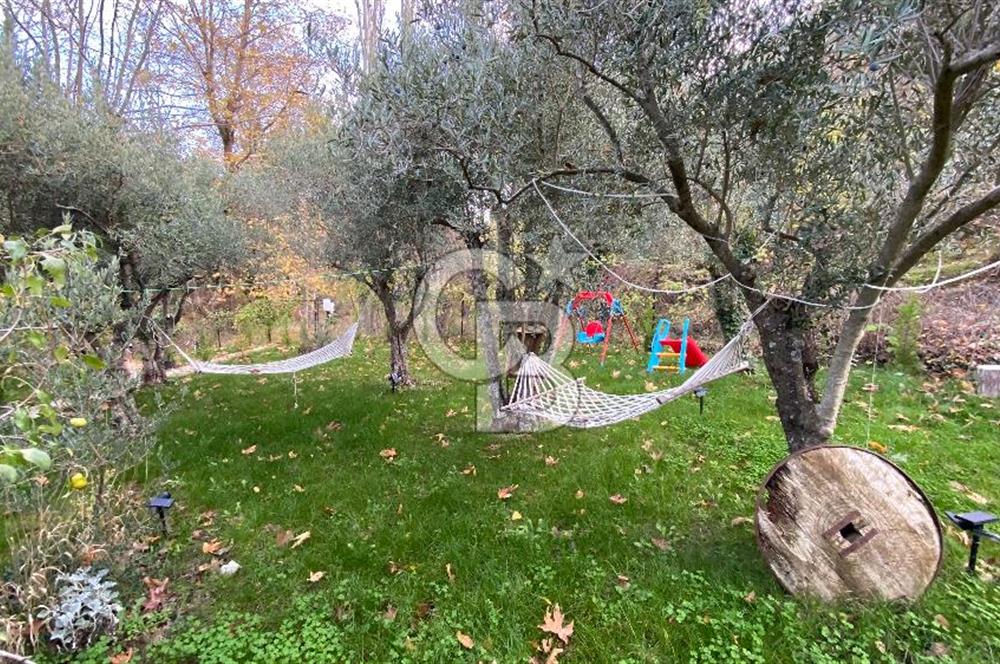 Tekirdağ Uçmakderede 3 Adet Dubleks Bağ Evi-Doğa İçinde Fırsat!