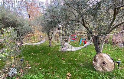 Tekirdağ Uçmakderede 3 Adet Dubleks Bağ Evi-Doğa İçinde Fırsat!