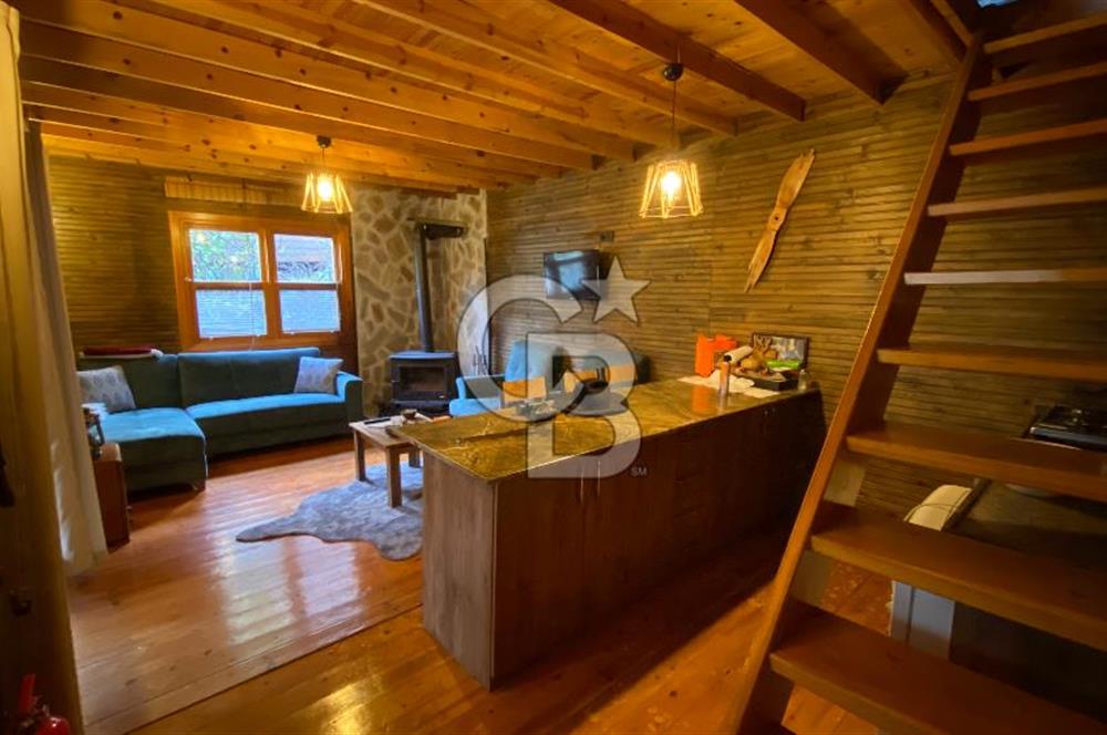 Tekirdağ Uçmakderede 3 Adet Dubleks Bağ Evi-Doğa İçinde Fırsat!