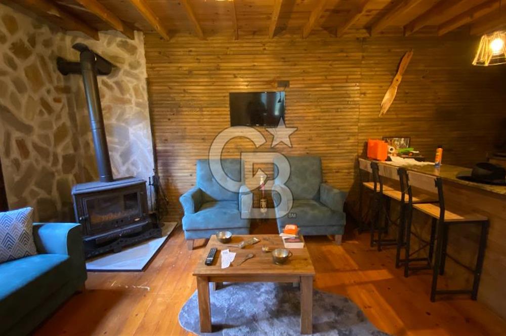 Tekirdağ Uçmakderede 3 Adet Dubleks Bağ Evi-Doğa İçinde Fırsat!