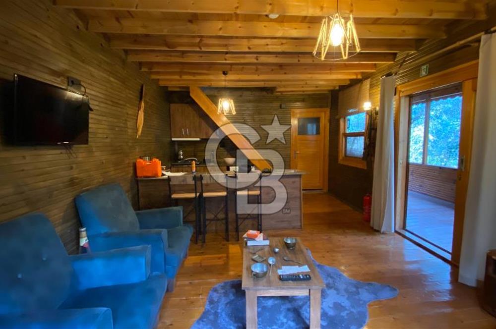 Tekirdağ Uçmakderede 3 Adet Dubleks Bağ Evi-Doğa İçinde Fırsat!