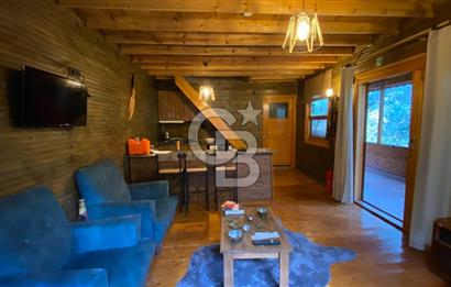 Tekirdağ Uçmakderede 3 Adet Dubleks Bağ Evi-Doğa İçinde Fırsat!