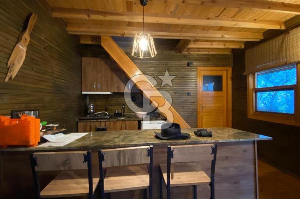 Tekirdağ Uçmakderede 3 Adet Dubleks Bağ Evi-Doğa İçinde Fırsat!