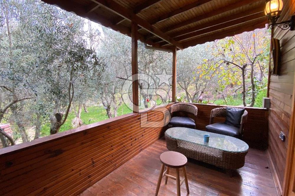 Tekirdağ Uçmakderede 3 Adet Dubleks Bağ Evi-Doğa İçinde Fırsat!