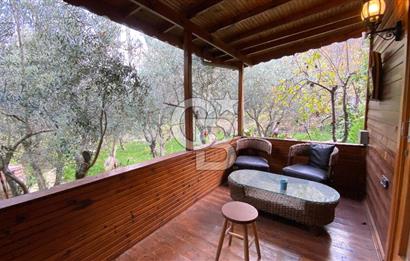 Tekirdağ Uçmakderede 3 Adet Dubleks Bağ Evi-Doğa İçinde Fırsat!