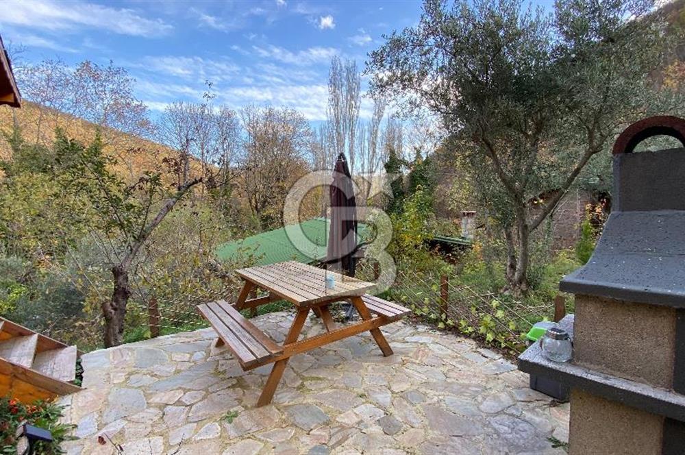 Tekirdağ Uçmakderede 3 Adet Dubleks Bağ Evi-Doğa İçinde Fırsat!