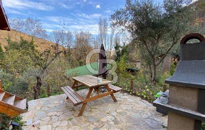 Tekirdağ Uçmakderede 3 Adet Dubleks Bağ Evi-Doğa İçinde Fırsat!