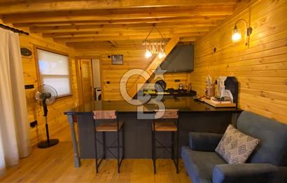 Tekirdağ Uçmakderede 3 Adet Dubleks Bağ Evi-Doğa İçinde Fırsat!