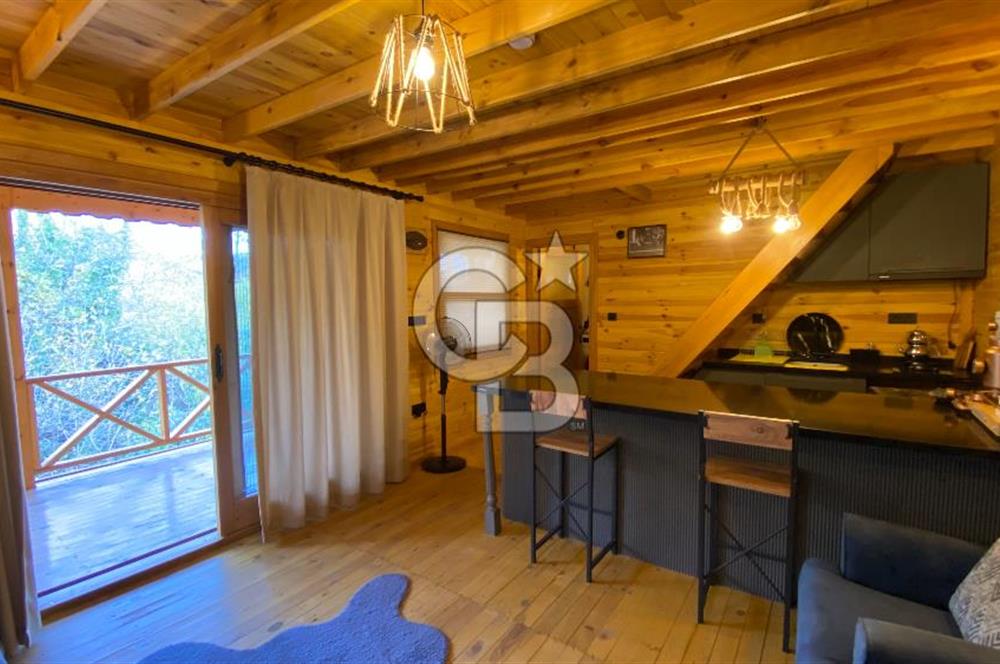 Tekirdağ Uçmakderede 3 Adet Dubleks Bağ Evi-Doğa İçinde Fırsat!