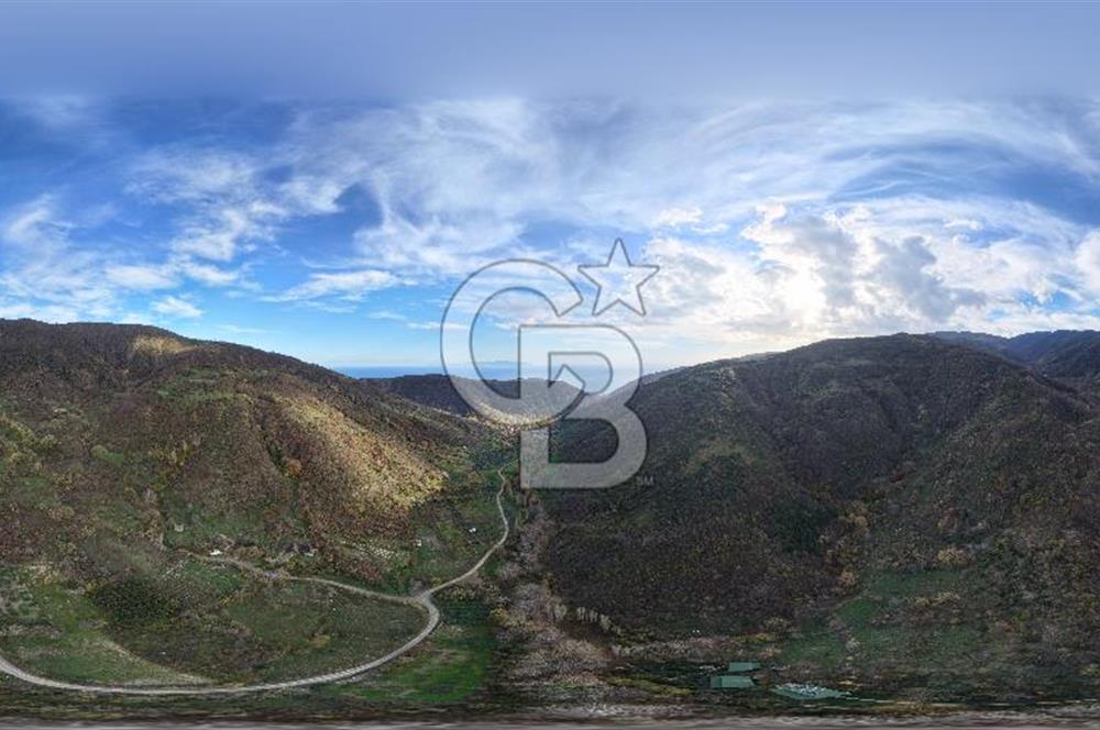 Tekirdağ Uçmakderede 3 Adet Dubleks Bağ Evi-Doğa İçinde Fırsat!