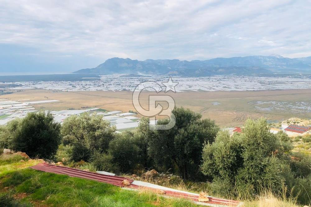 CB GİZ'DEN KAŞ YEŞİLKÖY'DE SATILIK DENİZ MANZARALI 2B ZEYTİNLİK