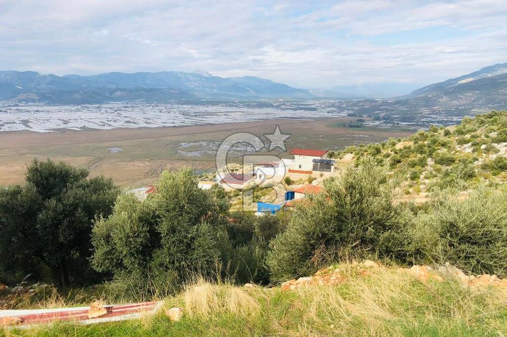 CB GİZ'DEN KAŞ YEŞİLKÖY'DE SATILIK DENİZ MANZARALI 2B ZEYTİNLİK