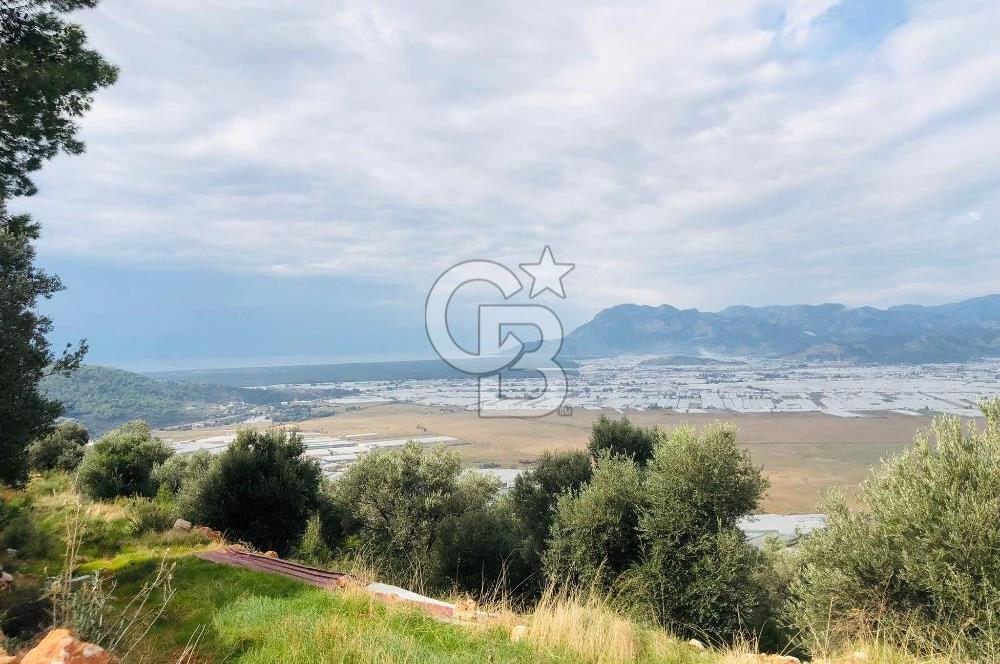 CB GİZ'DEN KAŞ YEŞİLKÖY'DE SATILIK DENİZ MANZARALI 2B ZEYTİNLİK