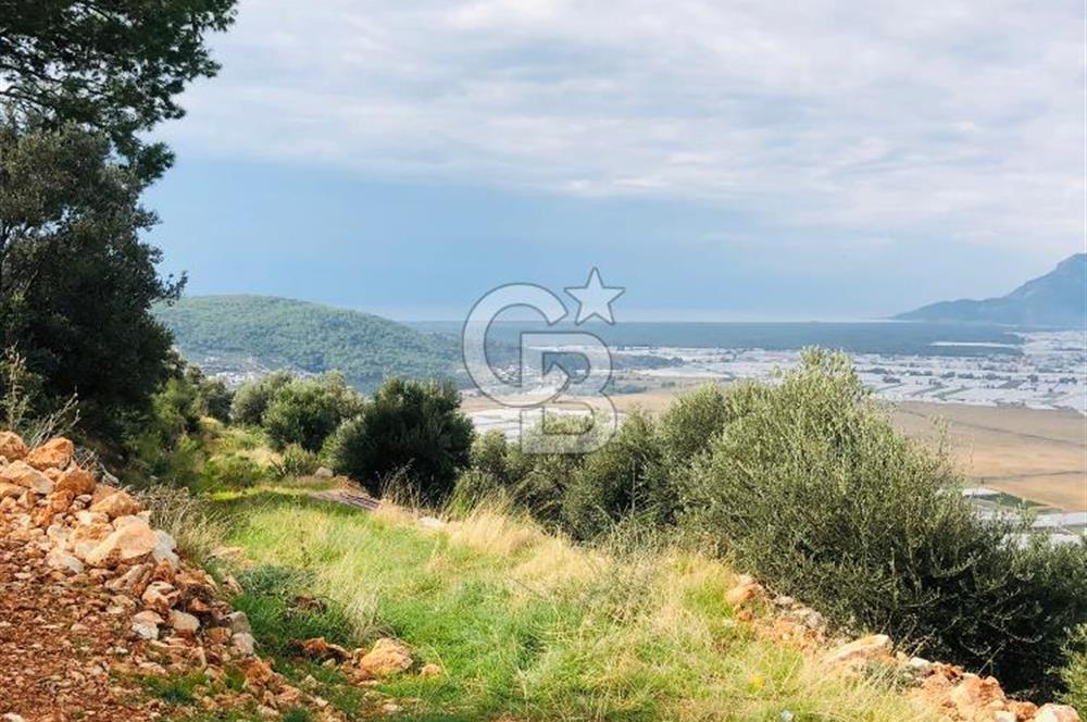 CB GİZ'DEN KAŞ YEŞİLKÖY'DE SATILIK DENİZ MANZARALI 2B ZEYTİNLİK